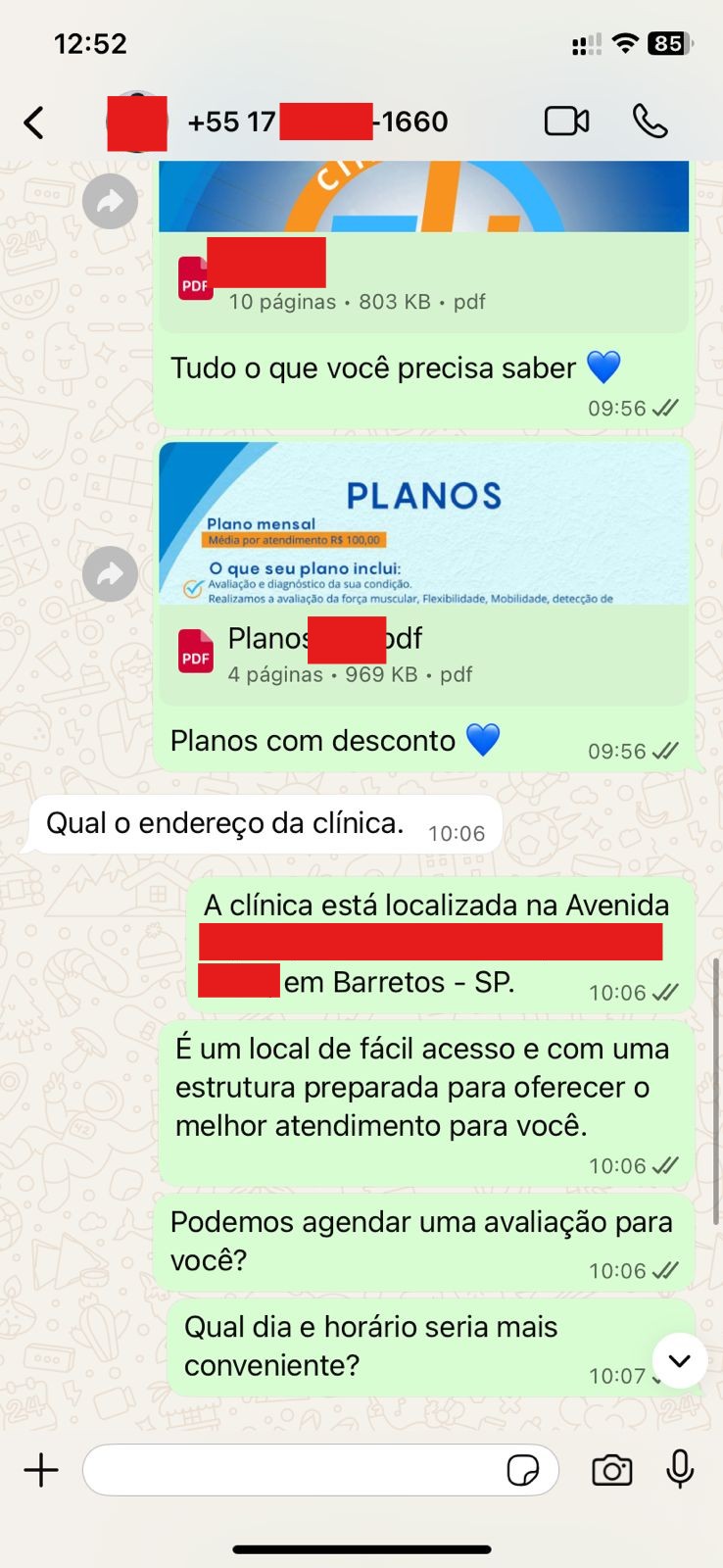 Conversa real de WhatsApp com envio de informações automatizado